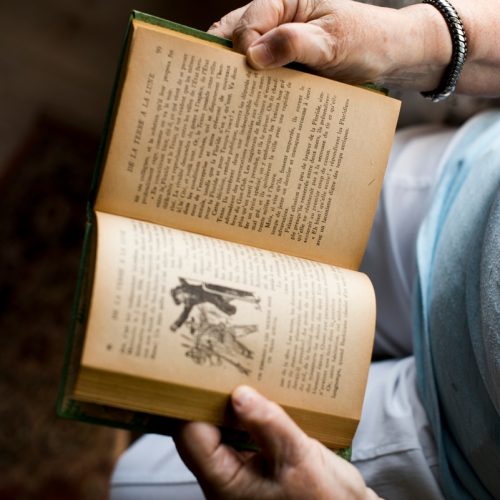 Senior woman reading a book